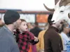 Todd Abbott and 3-year-old son Jack check out a mounted Dall sheep at the Wildlife Artistry booth Saturday at the 2012 Mat-Su Outdoorsman Show at the Curtis D. Menard Memorial Sports Center i