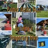 Palmer Buzz