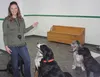 Krystal’s Canines owner Krystal Hallman prepares to dole out the treats to a few patiently-waiting dogs at her business Jan. 29. Hallman recently opened the daycare and boarding center on the