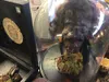 Scary artist IMG_3466.jpg