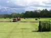 Experiment Farm