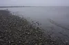 The Beaufort Sea coast is seen on Aug. 23, 2018, from East Dock at Prudhoe Bay on the North Slope. The Liberty oil discovery, which has languished without development, is located about 20 mil