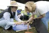 Valley Arts Alliance's Carmen Summerfield helps Linda Henning
apply paint on the paw of Lucy so they can make a paw print jacket
during Saturday's Doggie Day Picnic in Palmer. (ROBERT
DeBERRY