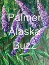 Palmer Buzz
