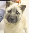 How can you resist that face?