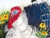 "Tom and Susan," by Ilene Paulsen.