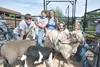 Pictured from left to right: Jaidyn Buckley, Sophia Pratt, Isabella Pratt, David Spinelli, and Tylynn Sturdivant. The local students are part of the Future Farmers of America program.  Maria 