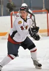 Chancie Hanson, who helped the North Iowa Bulls win a Tier III junior hockey national championship, has signed a tender with the Kenai River Brown Bears of the Junior A North American Hockey 