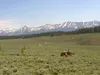 Alys Culhane, her dog and her horse Raudi at the Eagle’s Nest on top of Vail, Colo. Culhane and husband Pete Praetorius climbed from the backside and then rode down the slopes into Vail Villa