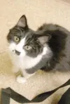 Hello, up there