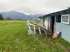 "I lost 13 chickens, one adult ewe sheep, damaged chicken coop, two damaged fences to fix,” wrote Kim Zello, who posted pictures on social media of the damage to her chicken coop from a recen