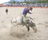 William Fry competes in the bull riding event at the 2011 Alaska
State Fair Rodeo in Palmer. (ROBERT DeBERRY/Frontiersman) Robert DeBerry
