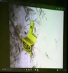 An image of a key piece of evidene is on display during the second day of the trial of Dominic Johnson, one of four accused of murdering David Grunwald in 2016. Tim Rockey/Frontiersman