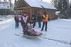 Andrew Nolan, seen here competing in the Willow Jr. 100 in 2015, is one of 14 mushers in the field for the 2017 Junior Iditarod, which starts Saturday on Knik Lake. Frontiersman file photo