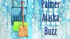 Palmer Buzz