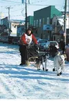 The IditaRider won't get bidders to Nome, but it does allow them
to ride with mushers at the start. Frontiersman file photo