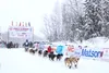 Knik musher Kristy Berington leaves the starting chute during the 2020 Iditarod restart in Willow. Frontiersman file photo
