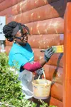 Palmer Job Corps student Elizabeth Wal re-stains the side of the outhouse building next to the Palmer Museum and VIsitor Center for NeighborWorks Alaska's 'Paint the Town' project on Thursday