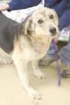 Make a new friend