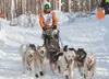Big Lake Musher Kelly Maixner begins his 1,049-mile trek to Nome  during the restart of the 2013 Iditarod Trail Sled Dog Race in Willow. ROBERT DeBERRY/Frontiersman.com