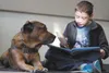 Aiden Patterson, 8, reads to Pagan, a service dog with Midnight Sun Service Dogs, at the Paws to Read one-year celebration at the Joint Base Elmendorf-Richardson library, Oct. 15, 2016. Airma