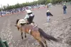 ROBERT DeBERRY/Frontiersman Lance Rowe leaves the chute riding
bareback during the 2010 rodeo at the Alaska State Fair in Palmer.
Rodeo is on Frontiersman Photo Editor Robert DeBerry’s list o