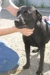 Needs a chance