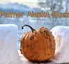 Palmer Buzz