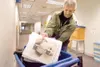 ROBERT DeBERRY/Frontiersman Joe Mazut sorts paper at Mat-Su
College on Friday morning. Mazut, along with his wife, Connie, own
Ready Recycle, a curbside recycling pick-up service in the Mat-S