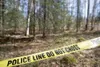 ROBERT DeBERRY/Frontiersman Police crime scene tape cordons off
a patch of forest near King Arthur Road in Houston where the
skeletal remains of a human body were discovered Friday
afternoon.