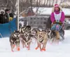 The team of Willow musher and Iditarod veteran Dee Dee Jonrowe
race out of the starting chute Saturday at the Knik 200 Joe
Redington Sr. Memorial Sled Dog Race on Knik Lake. ROBERT DeBERRY/Fr