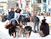 Riley Dyche from Big Lake was feeling cool and collected at the Ceremonial Start on Saturday. He said he felt that he was better prepared for Iditarod this year than ever. Kyle Wilkinson/For 