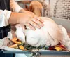 One oversized turkey might be too cumbersome.