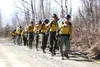 Wildland firefighters respond to a brush fire on Marley Drive in the Butte on Wednesday