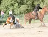 ROBERT DeBERRY/Frontiersman Garrett Willis attempts to wrestle a
steer to the ground as partner Jake Lowrey pulls tight on the rope
during the double mugging event at the Alaska State Fair Ro
