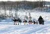 Kristy Berington and her team cross the finish line first in the 2015 Northern Lights 300. She finished the race with 10 dogs and a total race time of 49:17:00. Berington is one of 33 mushers