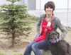 Ellen Deiman poses for a portrait with Emma Lee, an 8-year-old
black Lab up for adoption at the Mat-Su Borough animal shelter.
Deiman volunteers 16-20 hours a week at the shelter. GREG
JOHNSO