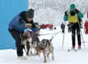 Photo courtesy of Diana Haecker/MCDMA A handler lets dogs loose
as skijorer Rebecca Knight takes off during a Montana Creek Dog
Mushers Association race in December.