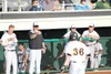 Chinooks-open-2017-ABL-season4.jpg