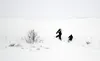 Snowfall Matt Tunseth/Frontiersman file photo