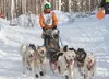 Big Lake Musher Kelly Maixner begins his 1,049-mile trek to Nome Sunday during the restart of the 2013 Iditarod Trail Sled Dog Race in Willow. ROBERT DeBERRY/Frontiersman.com