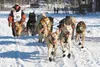 The team of Kasilof musher Paul Gebhardt bounds over a road crossing between two lakes on the way out of Willow during Sunday’s restart of the 2014 Iditarod Trail Sled Dog Race. A veteran of 