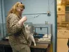 The city of Houston began handling its own animal control three
years ago. Above, Paula Novosel cares for a cat at the shelter. AMY
MENEREY/Frontiersman
