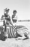 Mandy Borgeson and Mary Brown with the zebra Mandy shot in
Africa. The 280-yard shot dropped the stallion after a long hunt.
Photo courtesy of Fredric Brown.