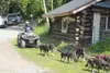 A local musher hand delivers special postmarks for the 2017 Musher’s Hall of Fame induction, marking the occasion. It’s an annual tradition. The 2019 event will also include the induction of 