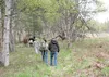 Lynn Turner, carrying a rifle, leads a group on a hike along the old Carle Wagon Road in the Hatcher Pass area Saturday. The trail is included in the “Hatcher Pass — Government Peak Unit Deve