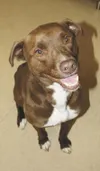Needs a good family