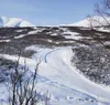 Hatcher Pass Experience is hosting the annual Hatcher Palooza Sunday. Courtesy photo