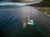 A seiner harvests salmon in the waters surrounding Southeast Alaska’s Tongass National Forest. On average, commercial fishermen catch an average of 48 million salmon born in the Tongass and t