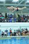 Wasilla's Kade Reynolds competes in the boys diving during the ASAA/First National Bank State Swimming and Diving Championships Nov. 6 at Bartlett High School in Anchorage. Camille Botello/Pe